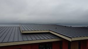 Best Solar Panel Roofing Installation  in China Grove, NC